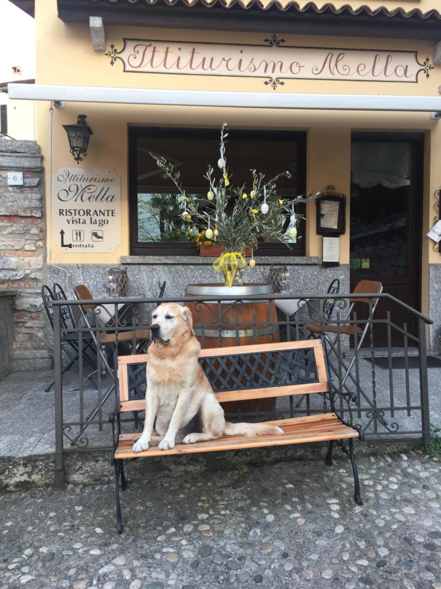 Mella Bellagio -La Corte - At The Lake With Parking Eksteriør billede